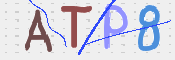 CAPTCHA Kép