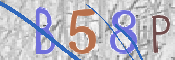 CAPTCHA Kép